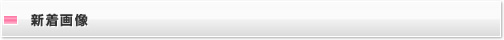 新着画像